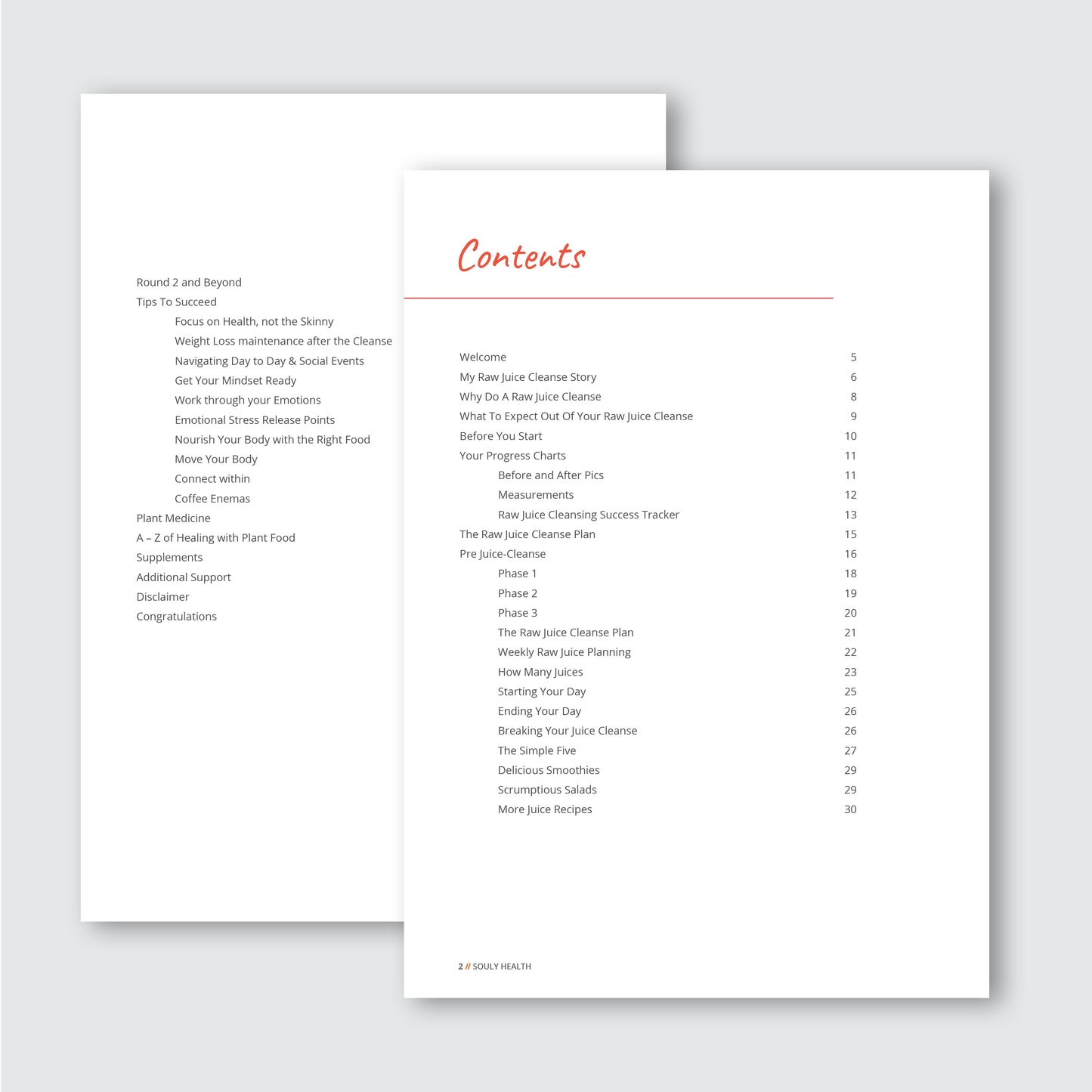 The Raw Juice Cleanse