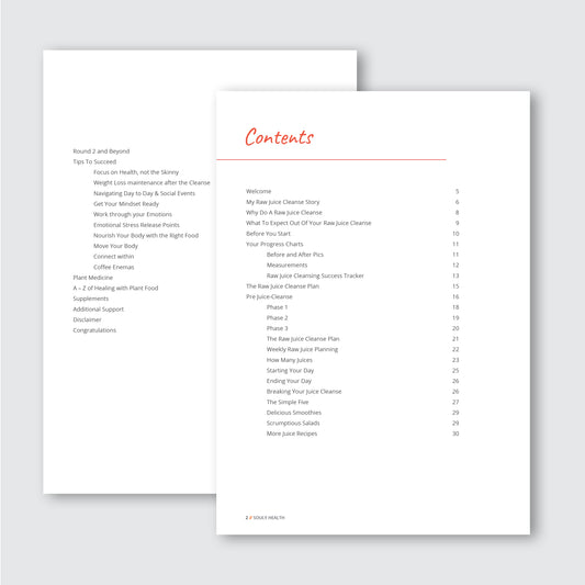 The Raw Juice Cleanse